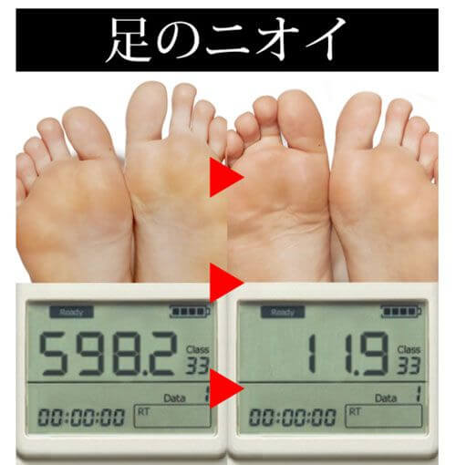 足の計測結果